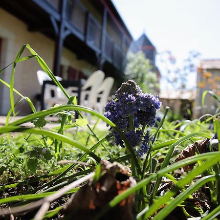 Au Repos Des Elfes Βίλα Braye-sous-Faye Εξωτερικό φωτογραφία