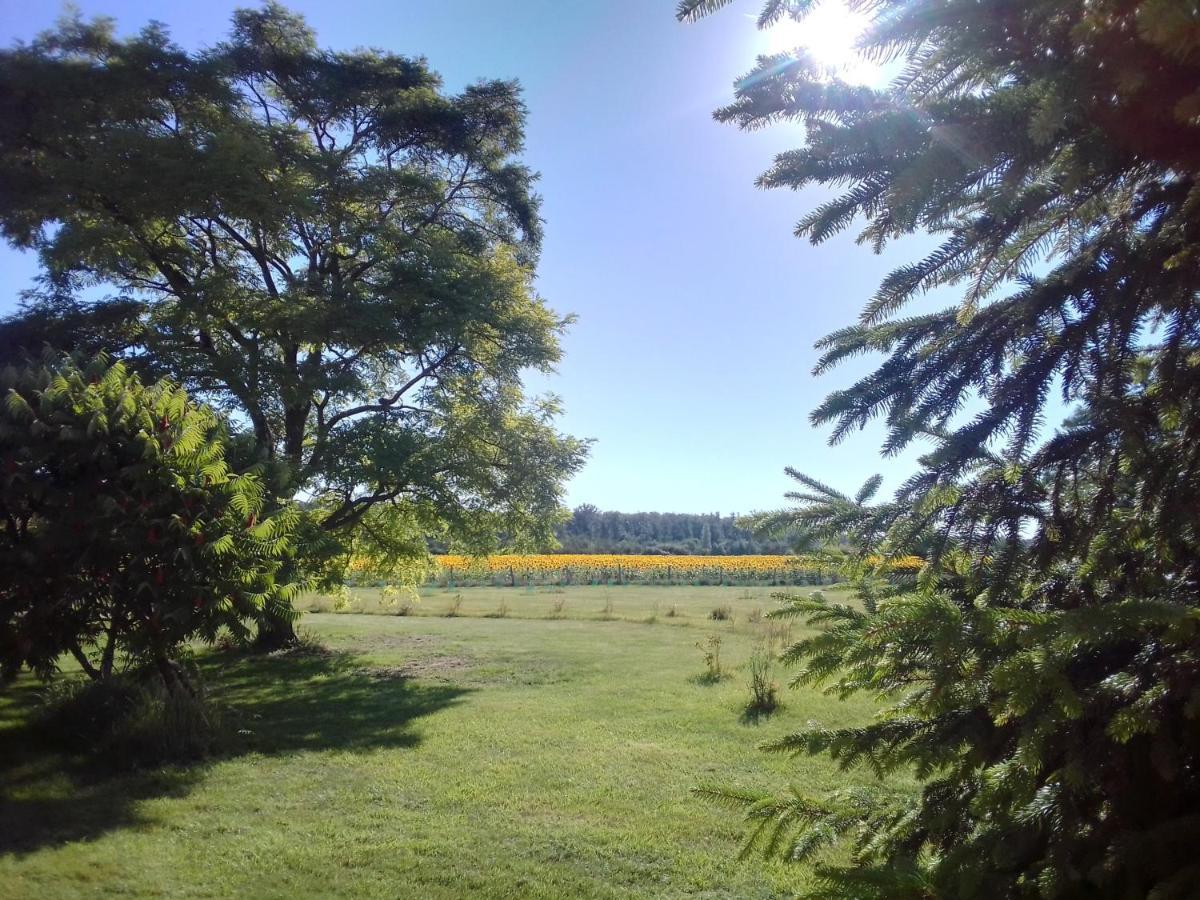 Au Repos Des Elfes Βίλα Braye-sous-Faye Εξωτερικό φωτογραφία